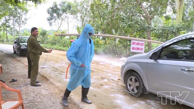 Tình hình dịch và phòng, chống dịch tả lợn Châu Phi trên địa bàn xã Thiên Phủ
