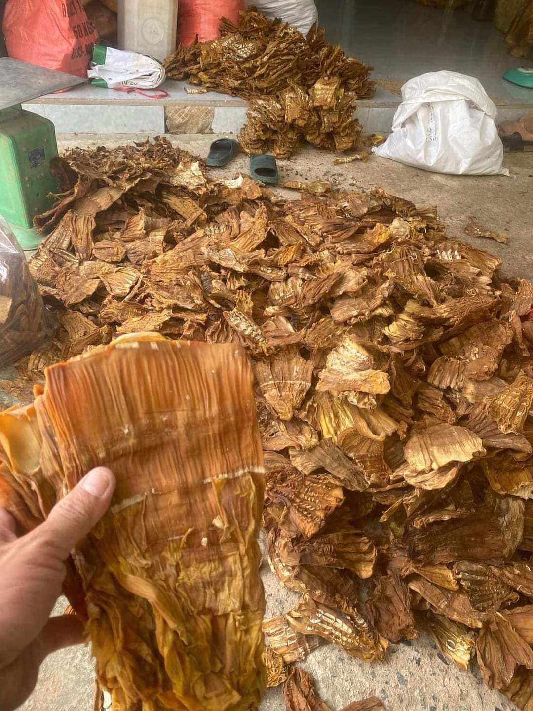 măng 5.jpg