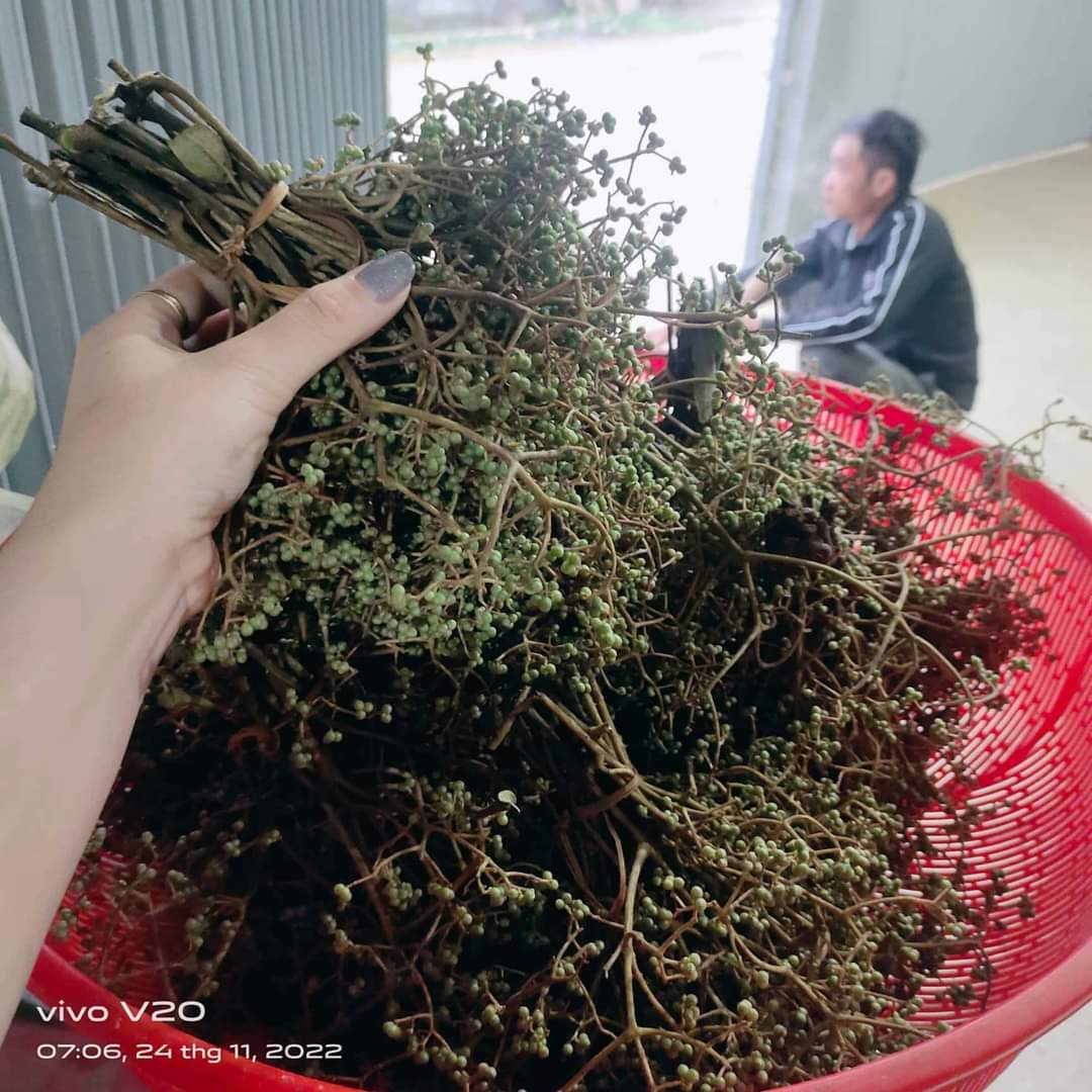 mác khẻn 2.jpg