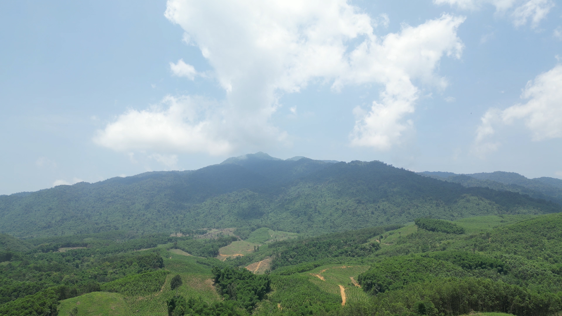 https://langchanh.thanhhoa.gov.vn/portal/Photos/2023-12-18/617d5dfdb61a5c7danh%20nui%20rung.jpg
