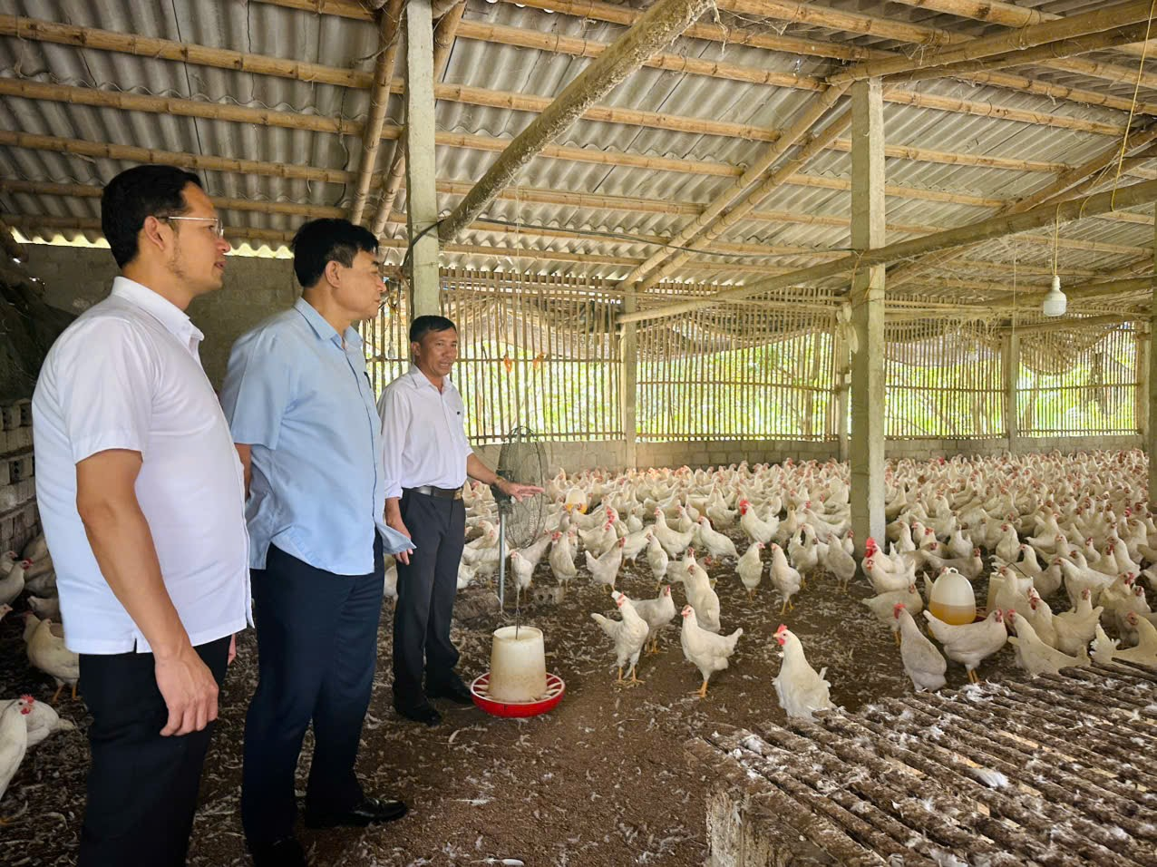 https://webhoinongdan.thanhhoa.gov.vn/cms/assets/1/THA/images/1781087708993image.png