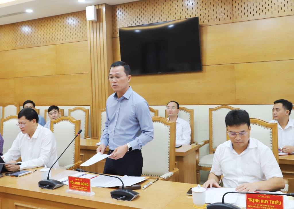 Chủ tịch UBND tỉnh Tô Anh Dũng làm việc với Đoàn đại biểu Hiệp hội Doanh nghiệp TP. Hồ Chí Minh