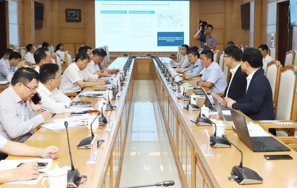 Chủ tịch UBND tỉnh Tô Anh Dũng làm việc với Công ty TNHH Kho ngầm xăng dầu Dầu khí Việt Nam