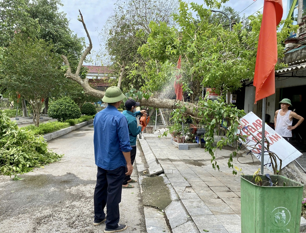Anh-tin-bai