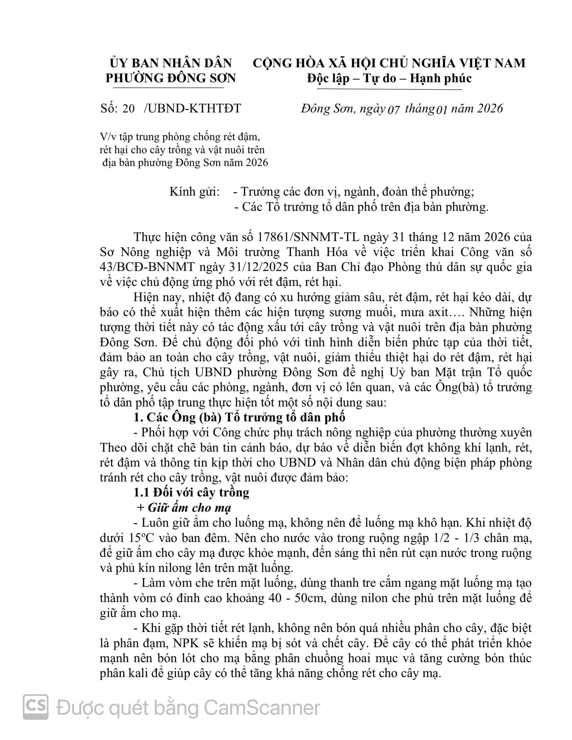 Phường Đông Sơn chủ động phòng, chống rét đậm, rét hại, bảo vệ sản xuất nông nghiệp và đời sống Nhân dân