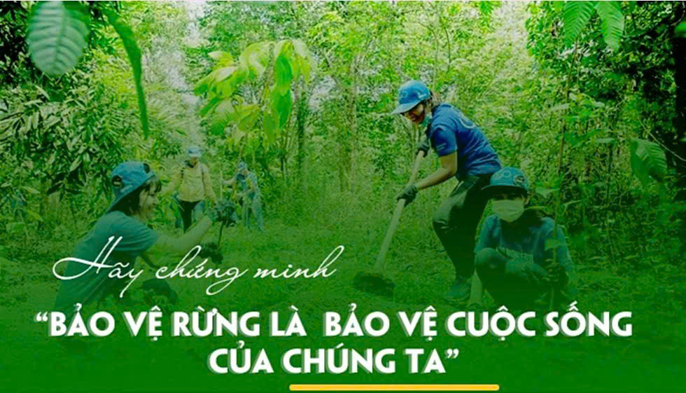 Kiện toàn Tổ bảo vệ rừng, phòng cháy, chữa cháy rừng và quản lý bảo vệ chim hoang dã trên địa bàn phường