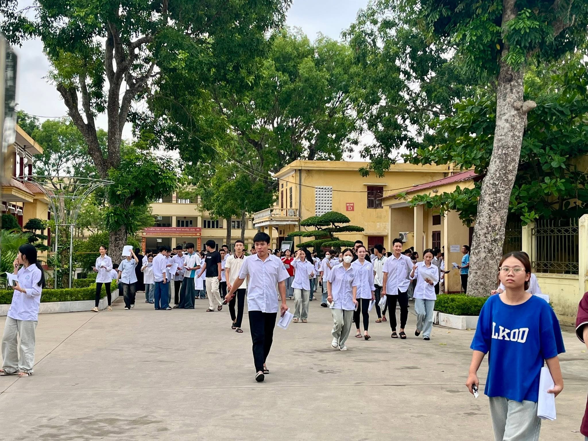 Anh-tin-bai
