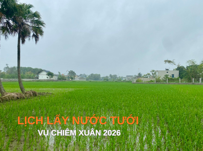 Lịch lấy nước tưới phục vụ sản xuất vụ Chiêm Xuân 2026