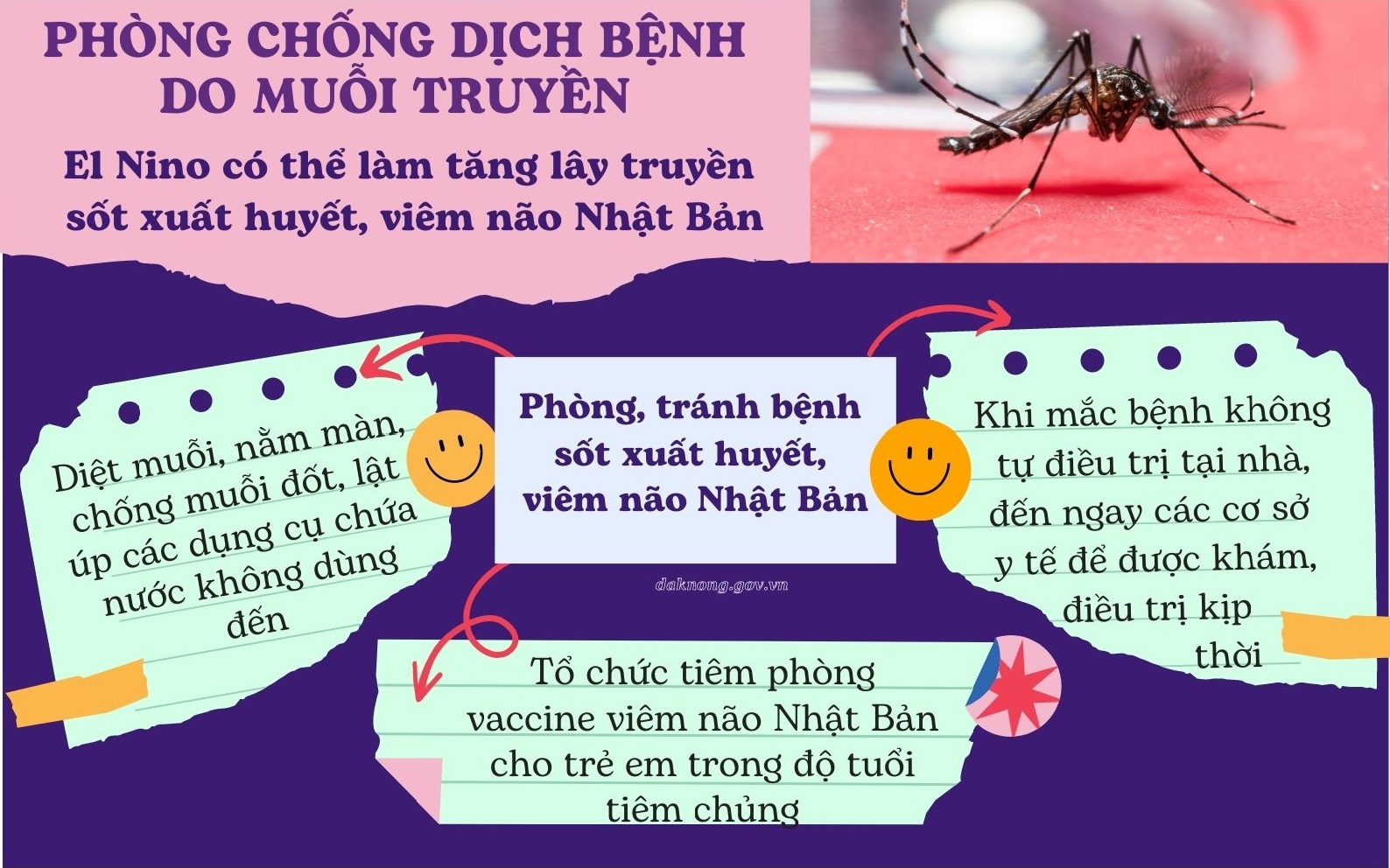 Tăng cường giám sát, phòng chống bệnh Viêm não Nhật Bản và các bệnh truyền nhiễm do muỗi