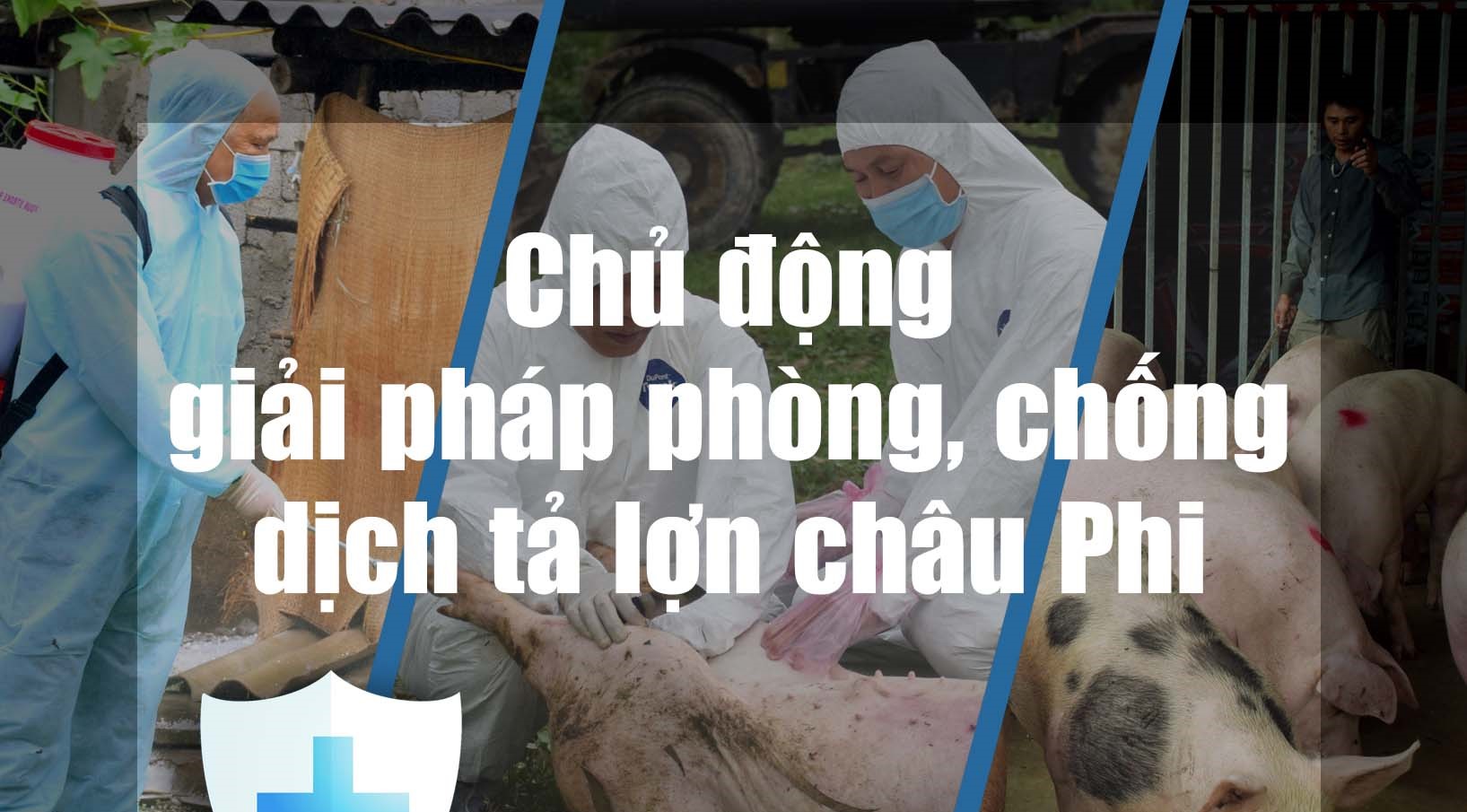 Tăng cường công tác phòng, chống dịch bệnh gia súc, gia cầm trên địa bàn phường Nam Sầm Sơn