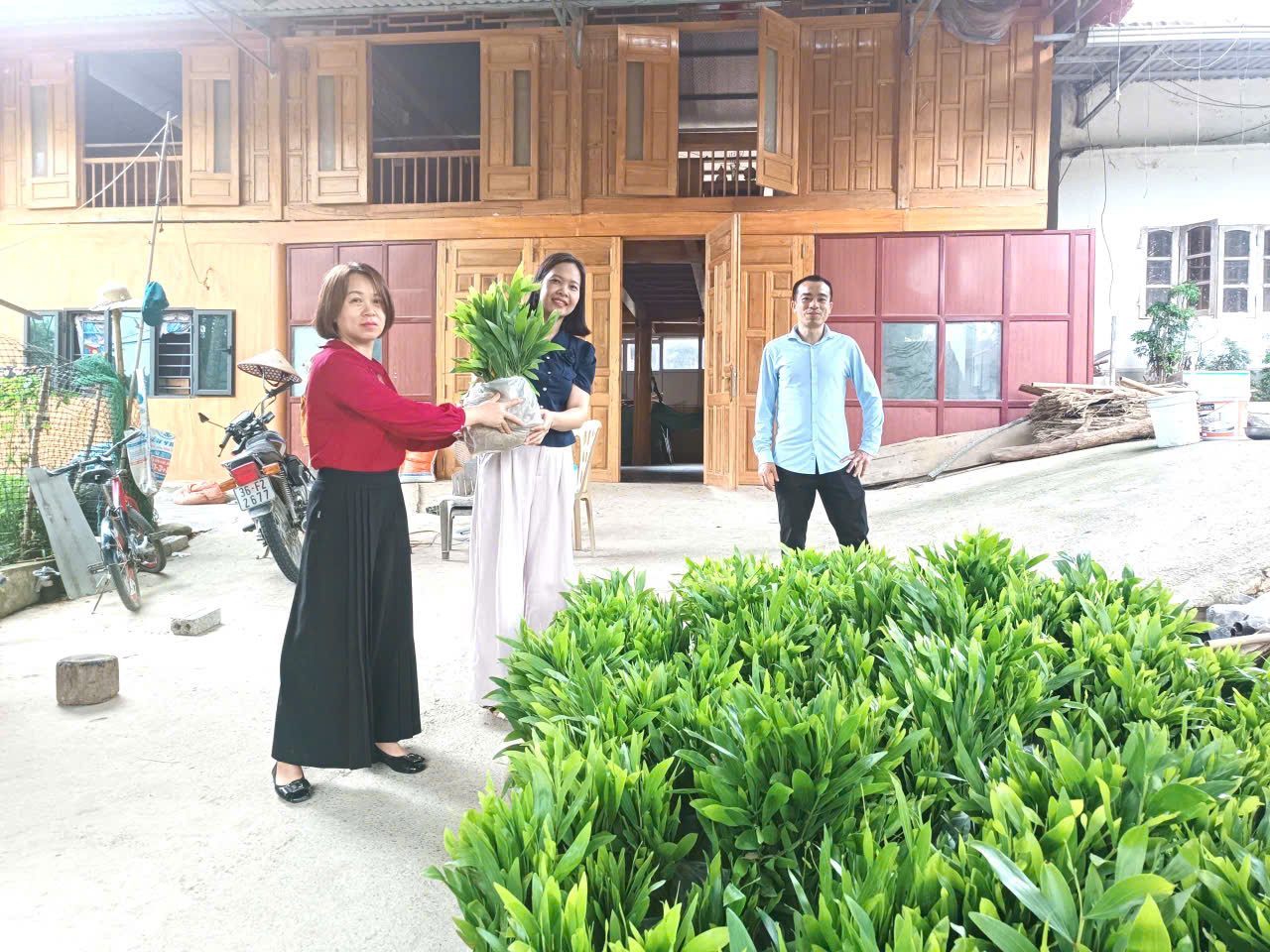Anh-tin-bai