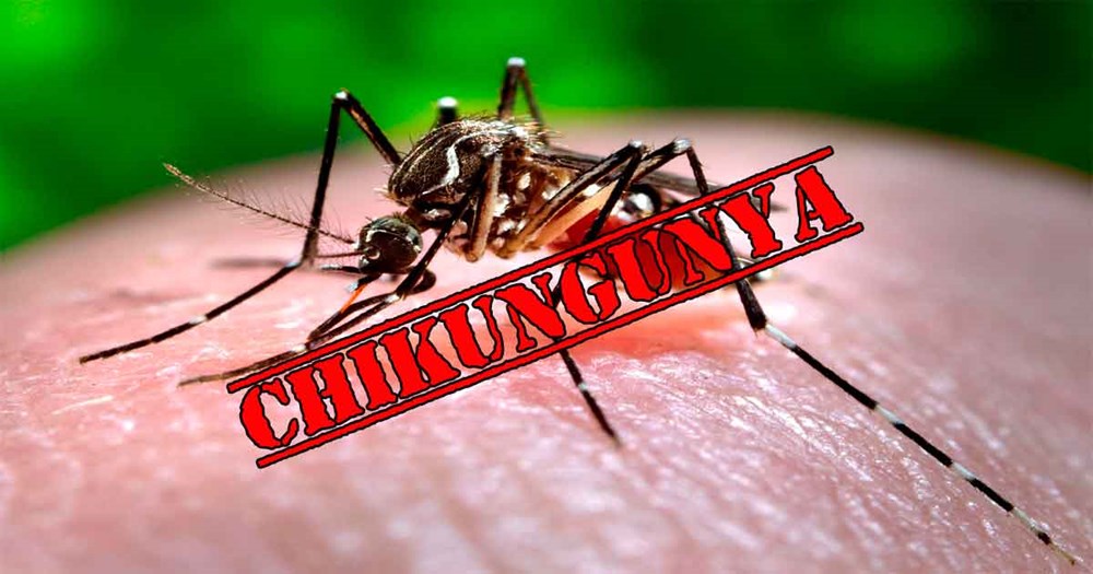 http://thlehongphong.tpbacgiang.edu.vn/upload/38227/fck/huonglanlhp/benh-sot-chikungunya.jpg