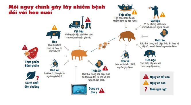 C:\Users\tongm\OneDrive\Desktop\TUYÊN TRUYỀN ATTP HẠC THÀNH\DỊCH TẢ LỢN 2.jpg