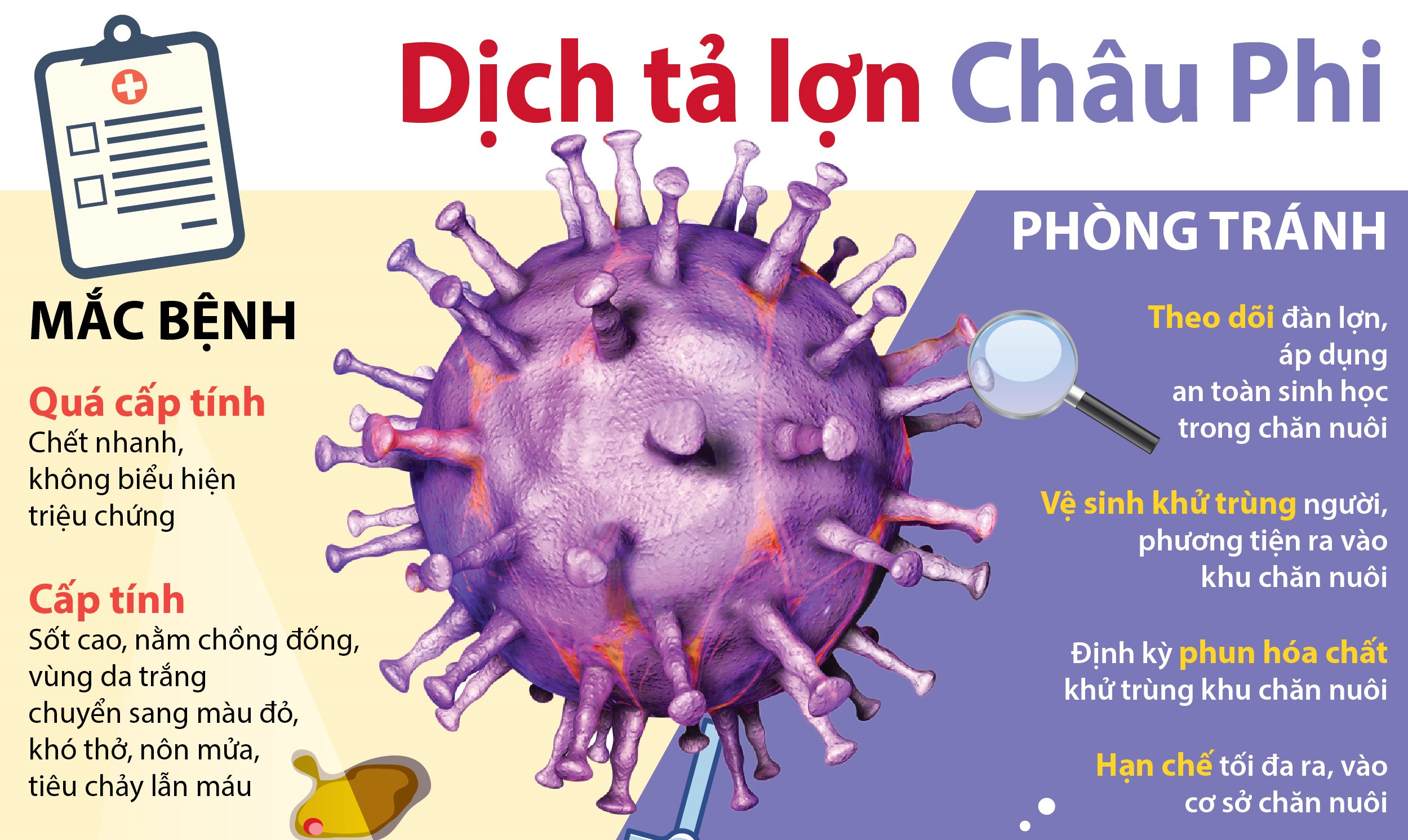 PHÒNG, CHỐNG BỆNH DỊCH TẢ LỢN CHÂU PHI