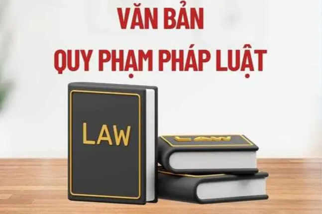 Triển khai các văn bản quy phạm  pháp luật của Bộ Ngoại giao. 
