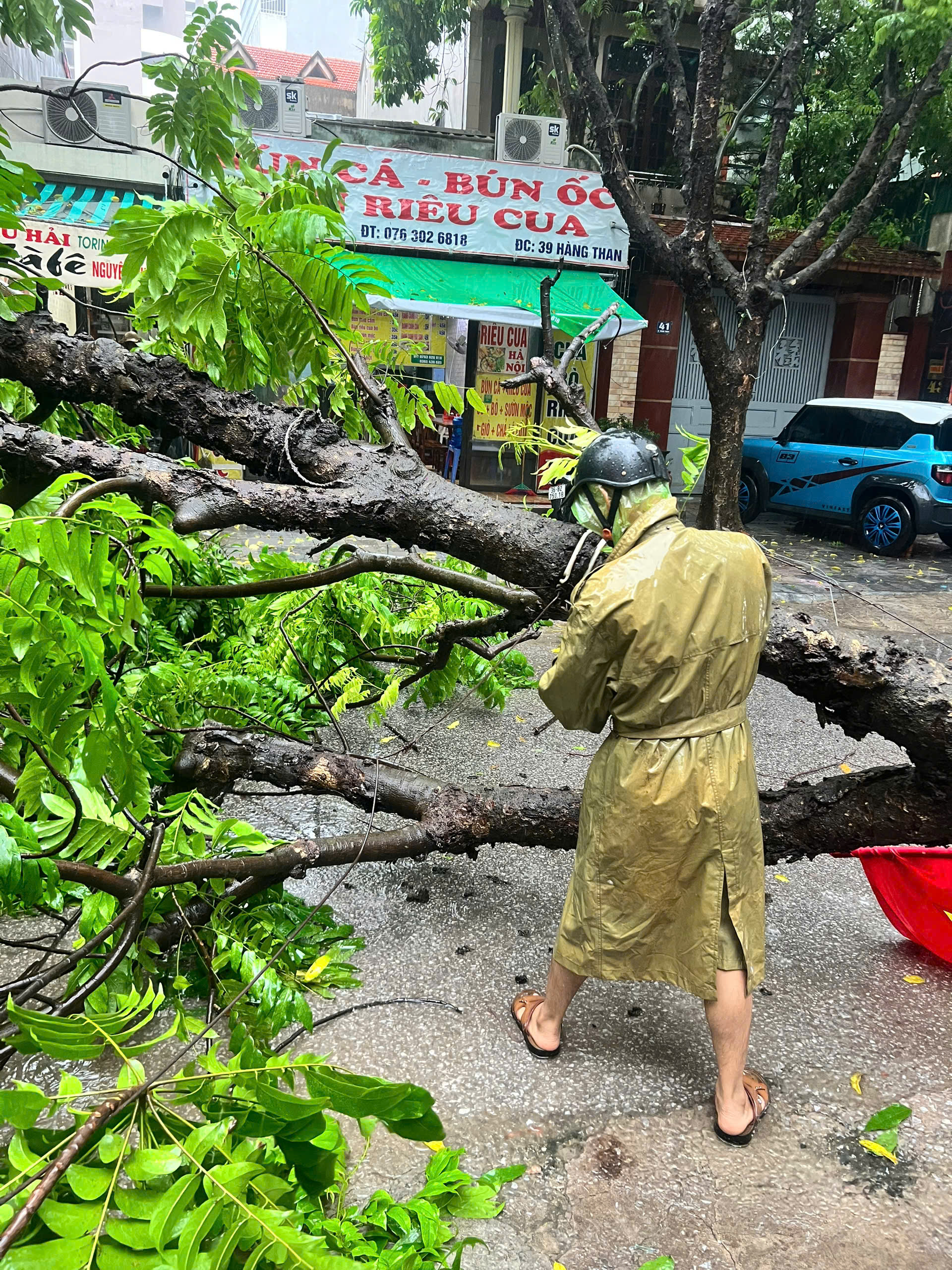 Phường Hạc Thành chủ động xử lý các điểm ngập sâu, cây xanh đổ do ảnh hưởng của Bão số 3