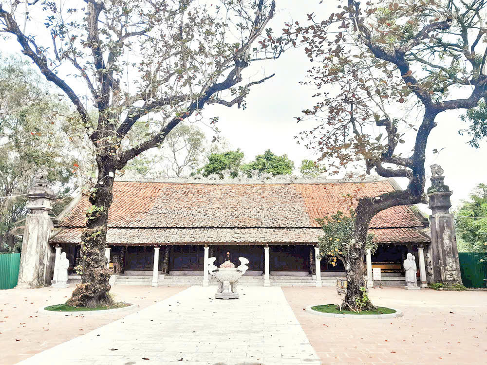 Anh-tin-bai