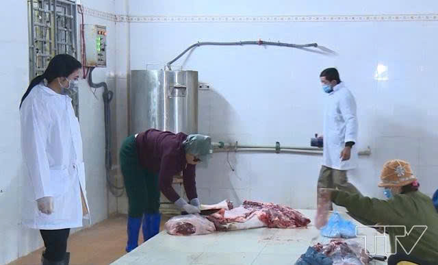 Phường Hạc Thành: Kiểm soát giết mổ chặt chẽ – Ngăn chặn dịch bệnh từ gốc – Đảm bảo thực phẩm an toàn