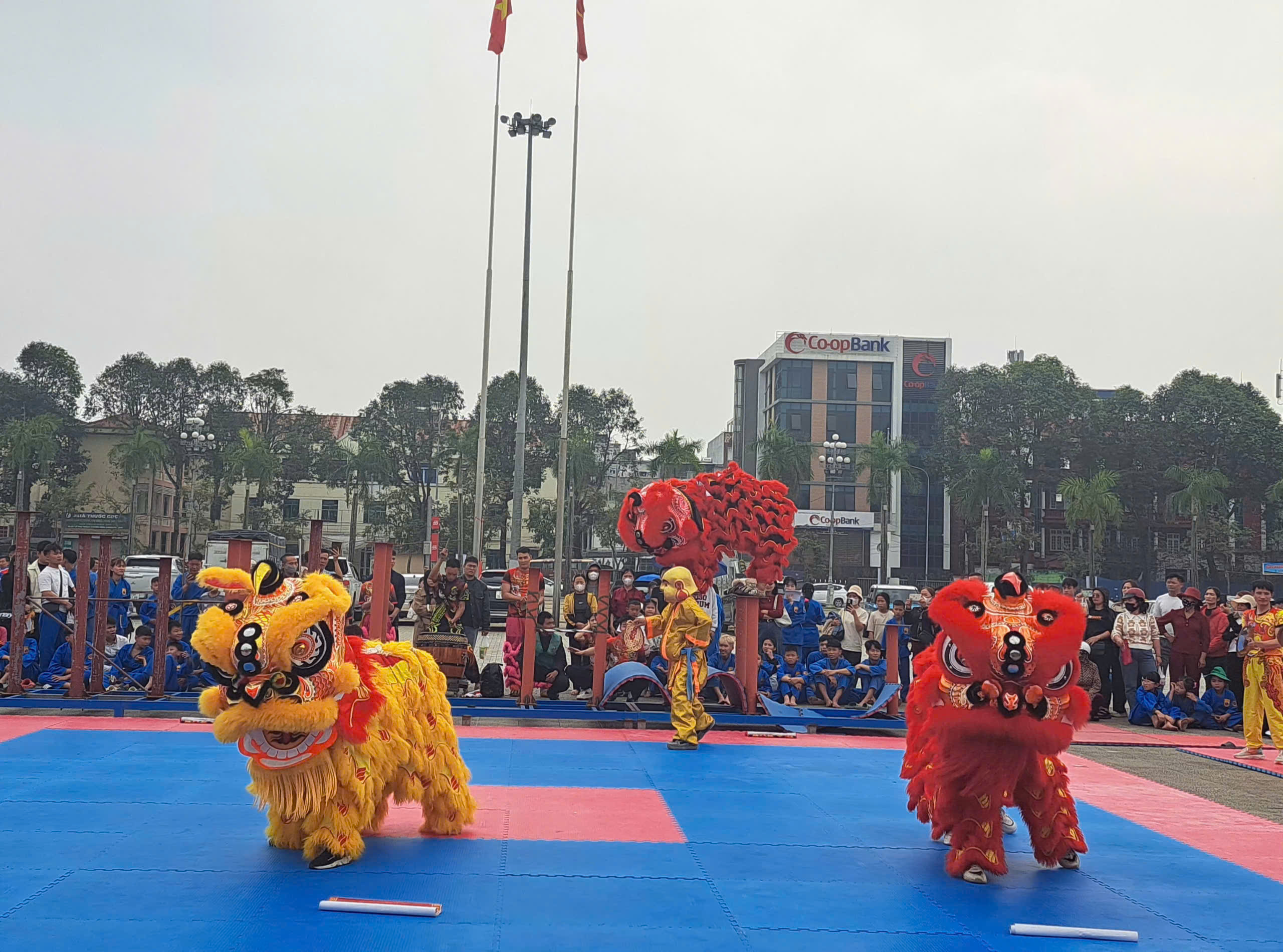 Anh-tin-bai
