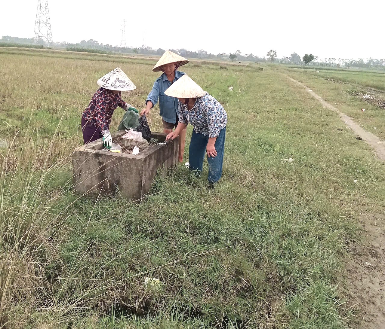 HỘI NÔNG DÂN PHƯỜNG ĐÔNG QUANG TỔ CHỨC RA QUÂN THU GOM VỎ CHAI, BAO BÌ THUỐC BẢO VỆ THỰC VẬT NGOÀI ĐỒNG RUỘNG