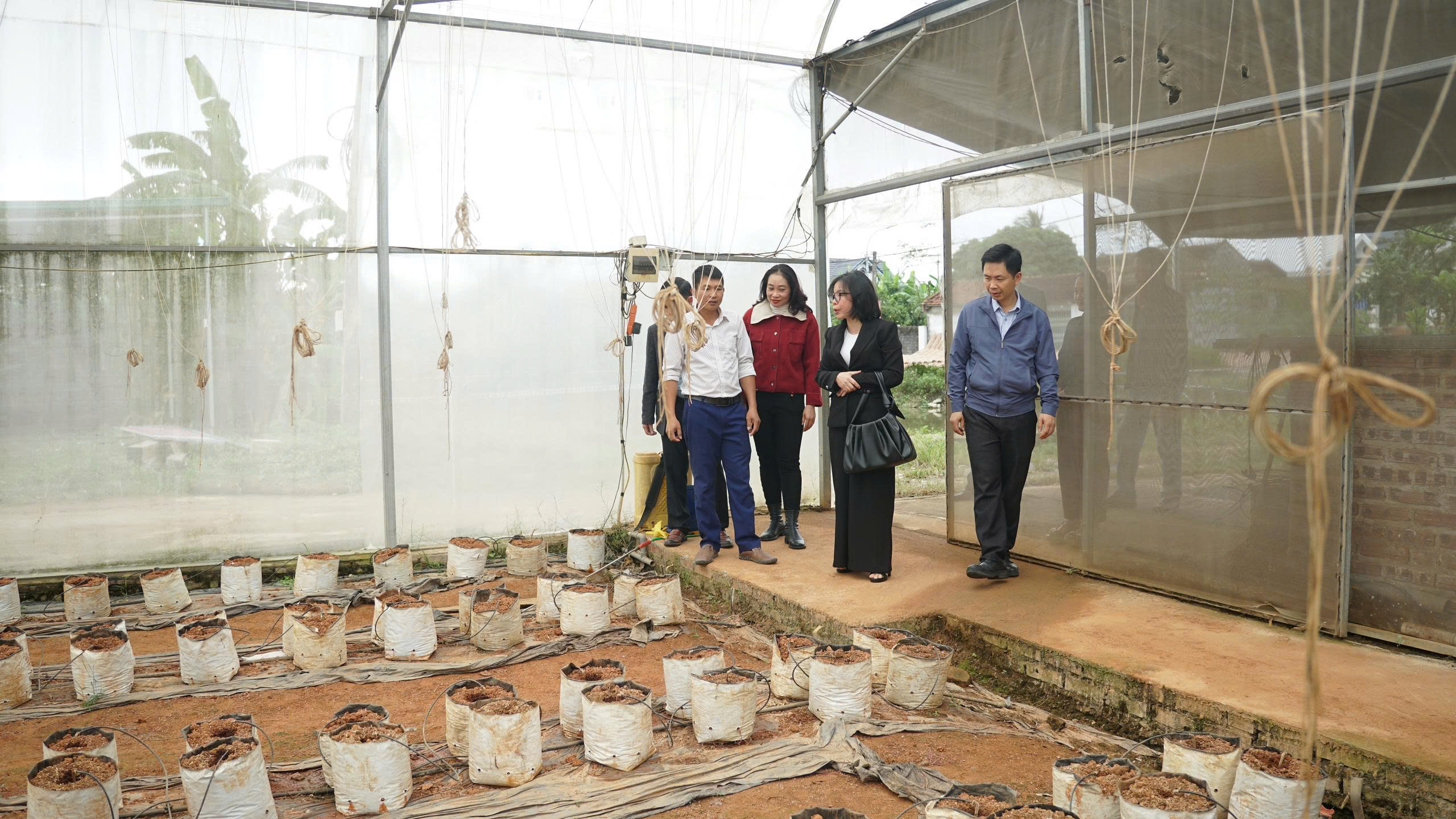 Đồng chí Bí thư Đảng ủy, Chủ tịch HĐND phường Đông Tiến kiểm tra hoạt động một số hợp tác xã nông nghiệp trên địa bàn