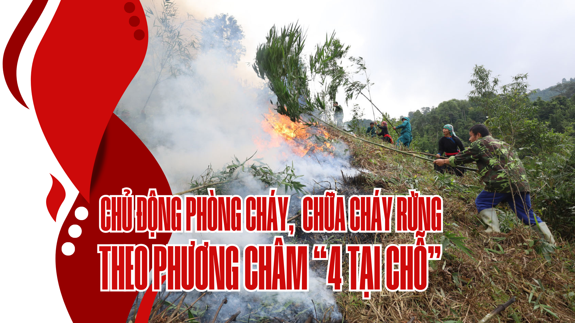 Kế hoạch Bảo vệ rừng, phòng chống cháy rừng đấu tranh chống buôn lậu lâm sản trước, trong và sau Tết Nguyên đán.