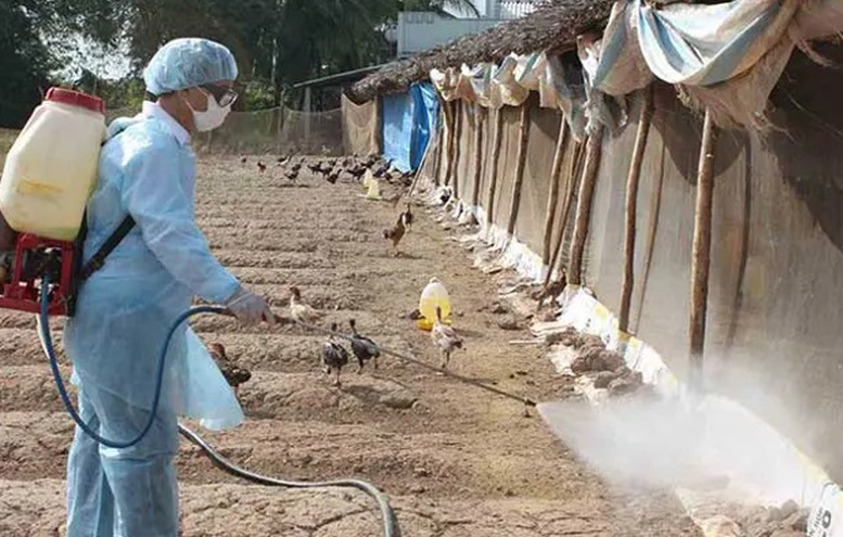  Kế hoạch thực hiện “ Tháng vệ sinh, khử trùng, tiêu độc môi trường phòng, chống dịch bệnh gia súc, gia cầm” đợt 1 năm 2026