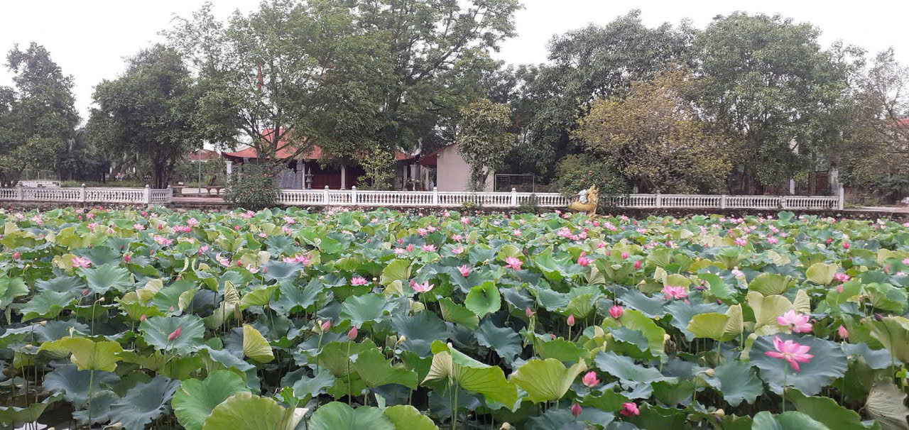 Anh-tin-bai
