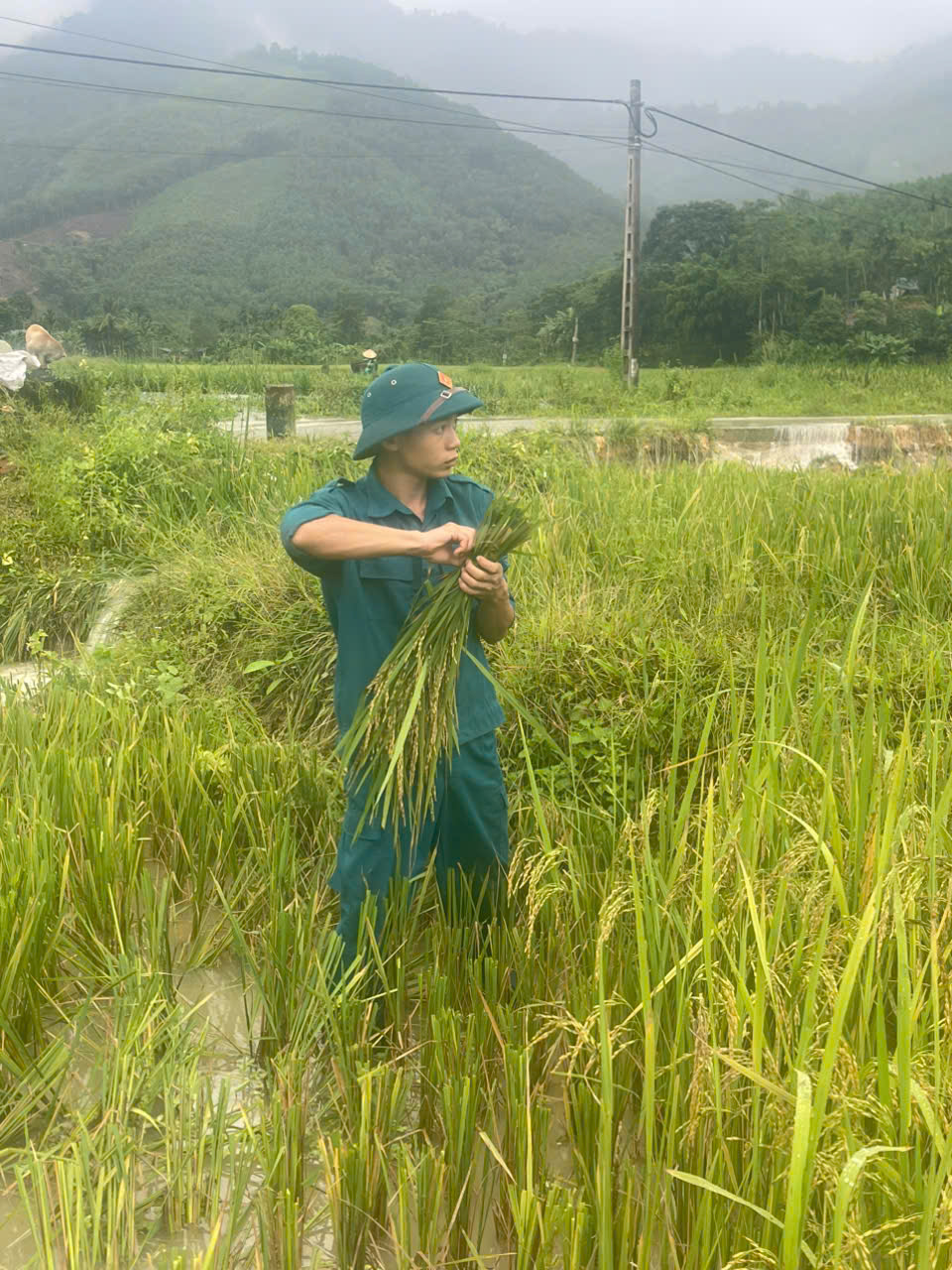 Anh-tin-bai
