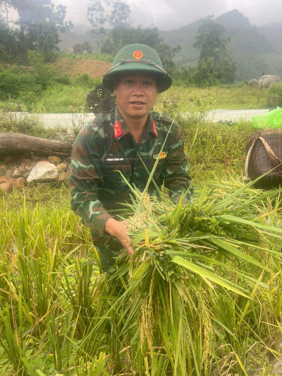 Anh-tin-bai