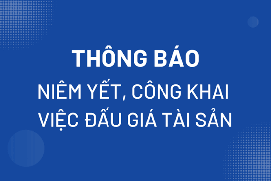 THÔNG BÁO ĐẤU GIÁ TÀI SẢN (LẦN 1)