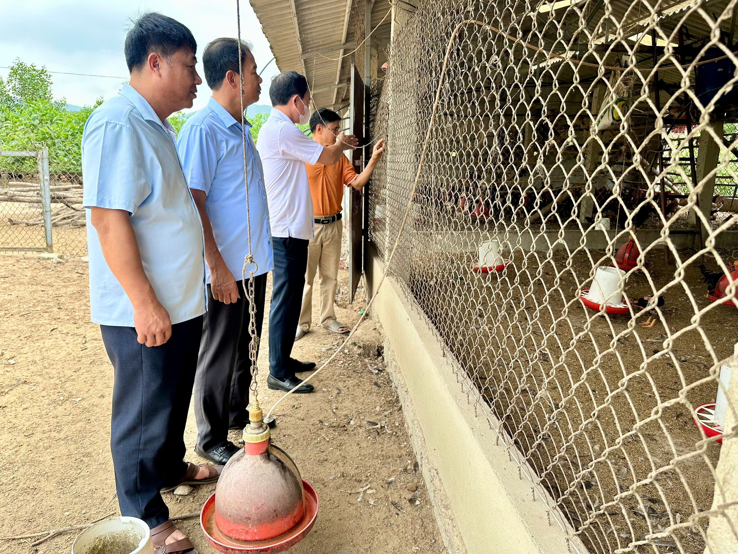 Anh Đậu Xuân Quang - gương điển hình trong phát triển chăn nuôi tại TDP Thành Công, phường Đào Duy Từ
