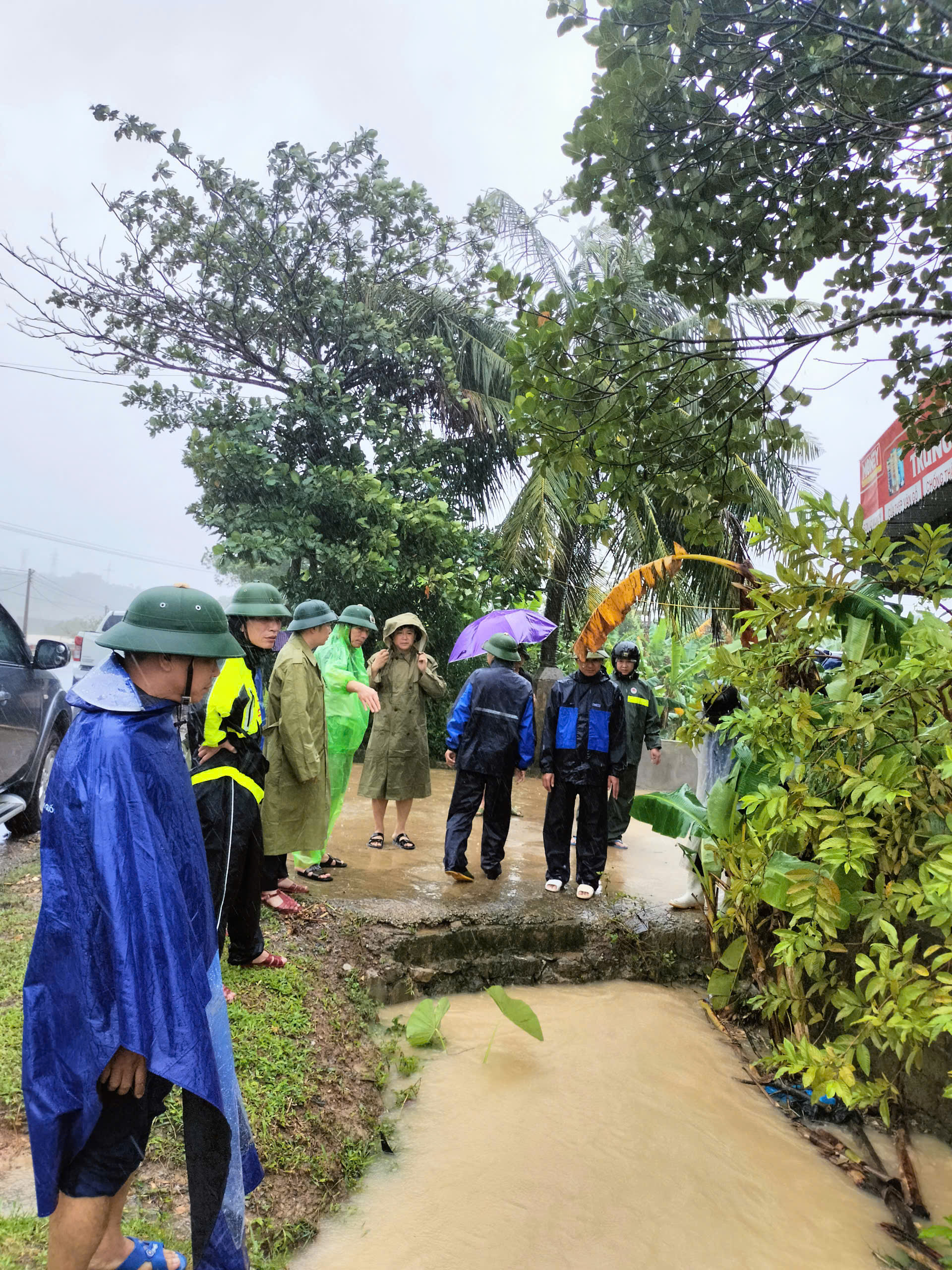 Quyết định Về việc kiện toàn Ban Chỉ huy Phòng thủ dân sự phường Trúc Lâm và Thông báoVề việc phân công nhiệm vụ các thành viên Ban Chỉ huy Phòng thủ dân sự phường Trúc Lâm