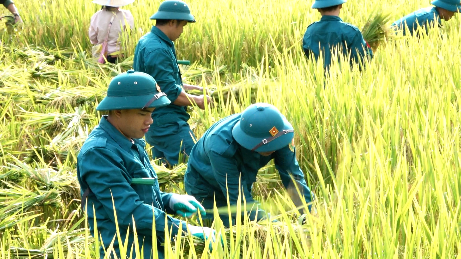 Anh-tin-bai