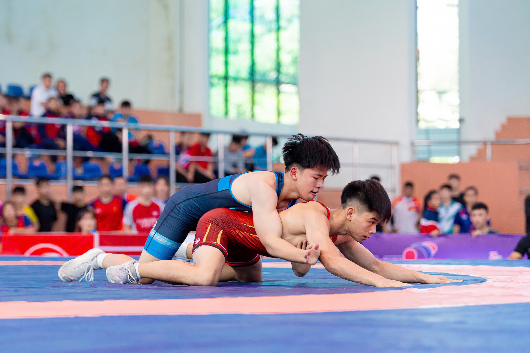 Anh-tin-bai