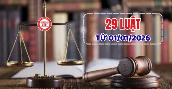 29 luật có hiệu lực từ ngày 01/01/2026 