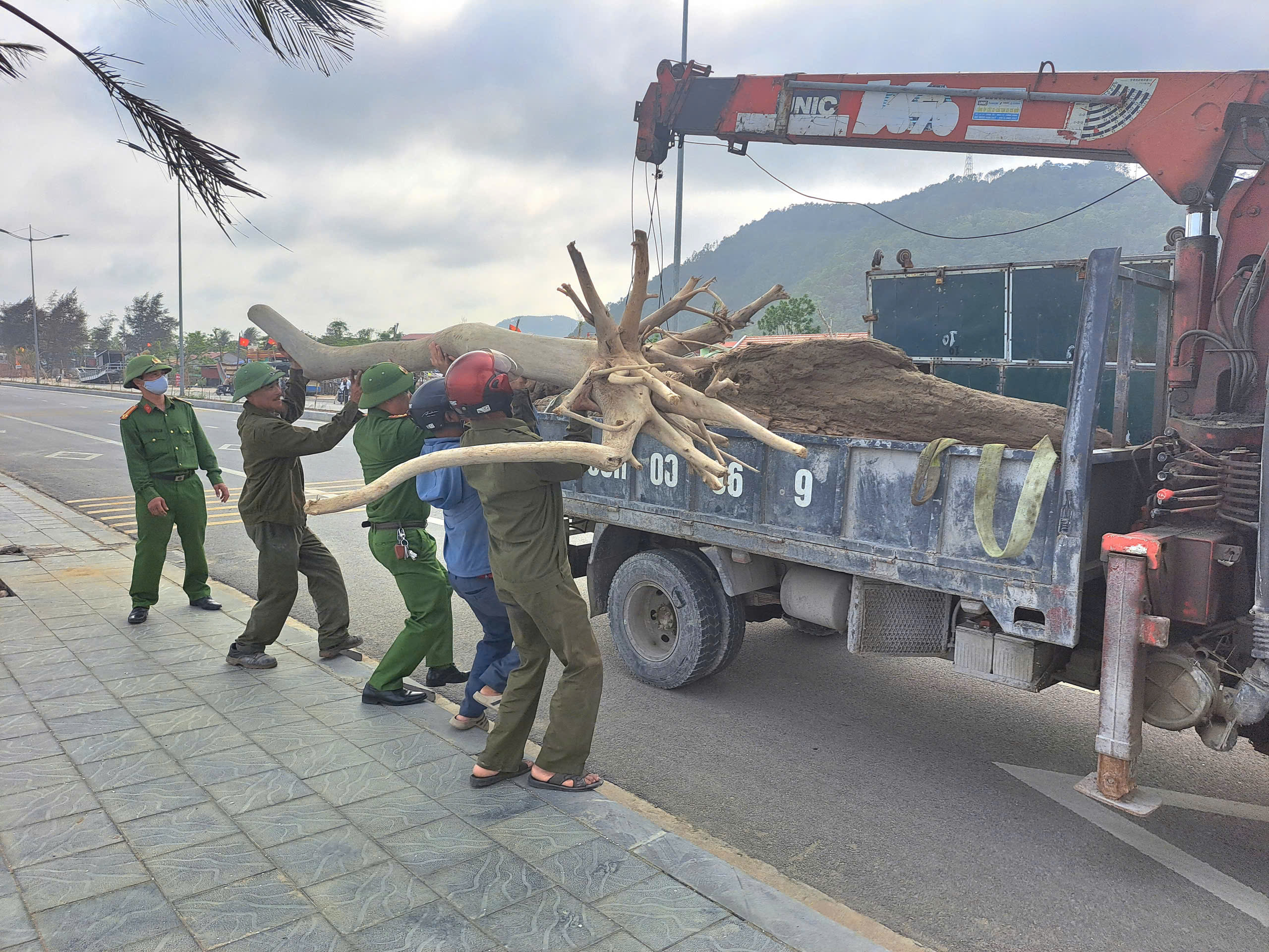 XÃ HOẰNG TIẾN: TIẾP TỤC RA QUÂN GIẢI TỎA HÀNH LANG AN TOÀN GIAO THÔNG PHỤC VỤ MÙA DU LỊCH BIỂN 2026
