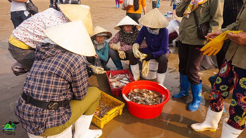 5 Địa điểm nên đến ngay khu du lịch Hải Tiến Hoằng Hóa Thanh Hóa