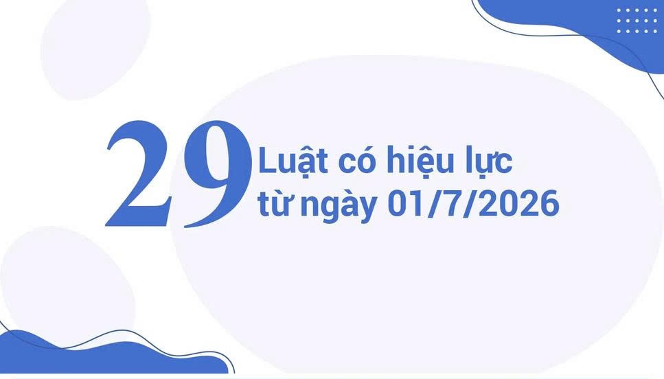 29 Luật có hiệu lực từ ngày 01/7/2026