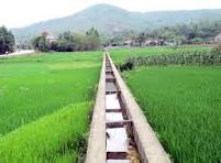 Quyết định về việc phê duyệt kết quả lựa chọn nhà thầu gói thầu số 03 (Tư vấn quản lý dự án) dự án: Kênh mương nội đồng; Hạng mục: Cống ngăn mặn thôn Yên Tập; Cống điều tiết kênh đường Tỉnh lộ 510; Kênh, cửa điều tiết trên kênh N28 xã Hoằng Thanh, tỉnh Thanh Hoá  