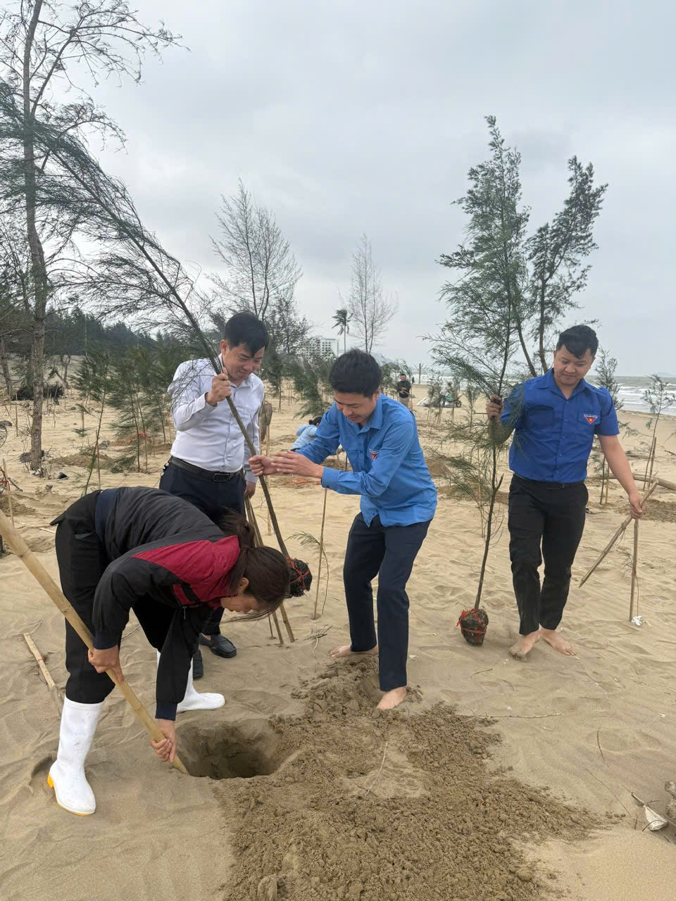 HOẰNG THANH: HƠN 300 CÂY PHI LAO ĐƯỢC TRỒNG MỚI, CHUNG TAY BẢO VỆ BỜ BIỂN
