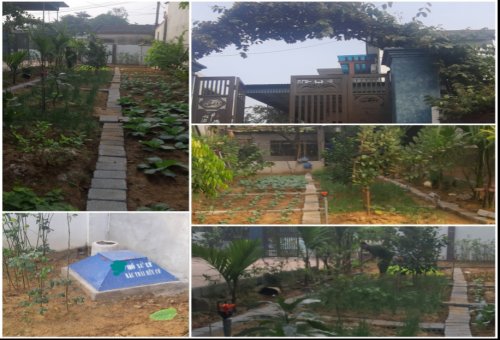 Nhân dân tại Hộ gia đình làm chỉnh trang nhà ở, vườn hộ.png