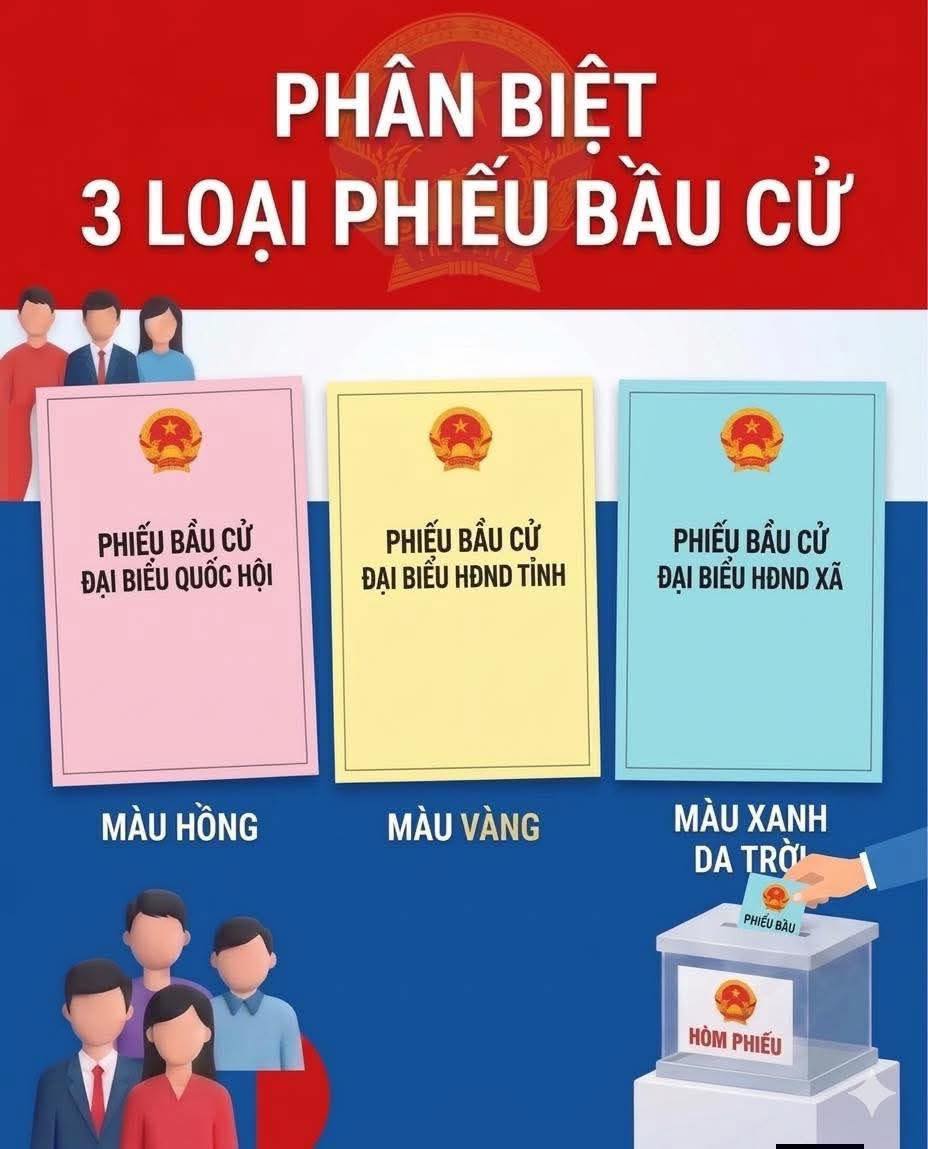 CỬ TRI XÃ HOẰNG CHÂU LƯU Ý CÁCH PHÂN BIỆT MÀU PHIẾU BẦU CỬ NHIỆM KỲ 2026 – 2031