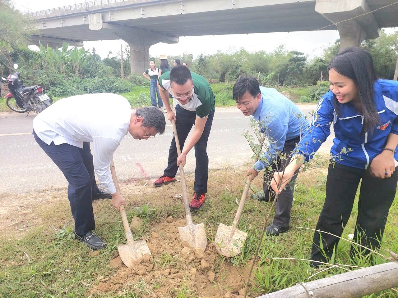 Có thể là hình ảnh về cây