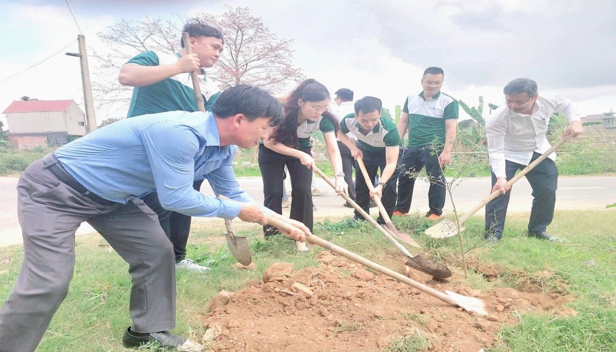 Có thể là hình ảnh về cây