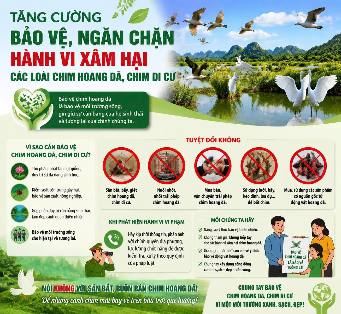 Hình ảnh 1