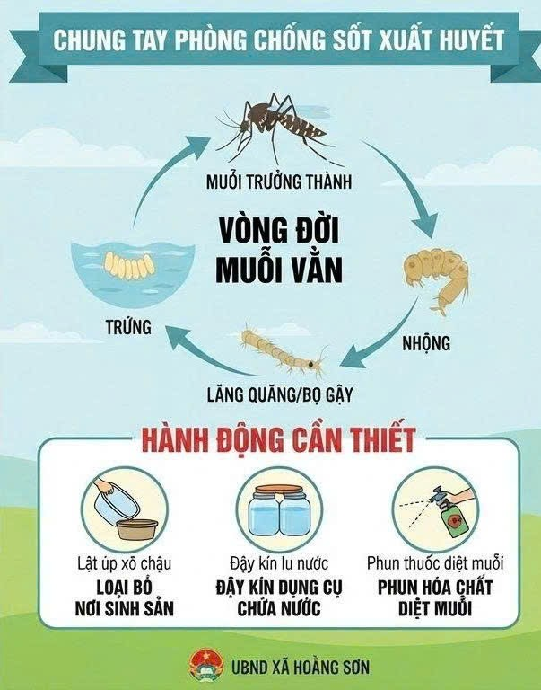 Hình ảnh 1