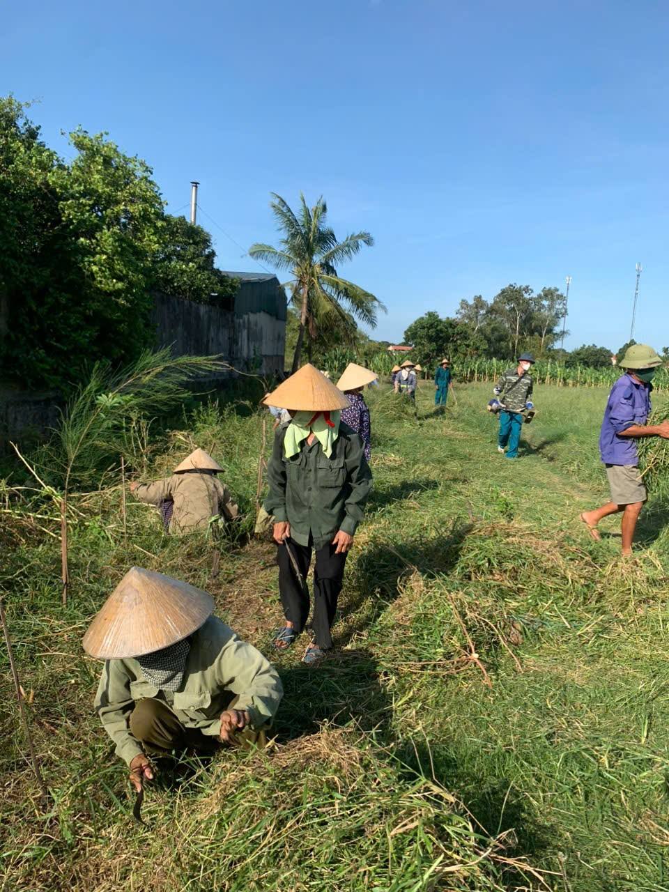 NHIỀU THÔN TRÊN ĐỊA BÀN XÃ HOẰNG SƠN RA QUÂN TỔNG DỌN VỆ SINH MÔI TRƯỜNG CÔNG CỘNG VÀO NGÀY CHỦ NHẬT