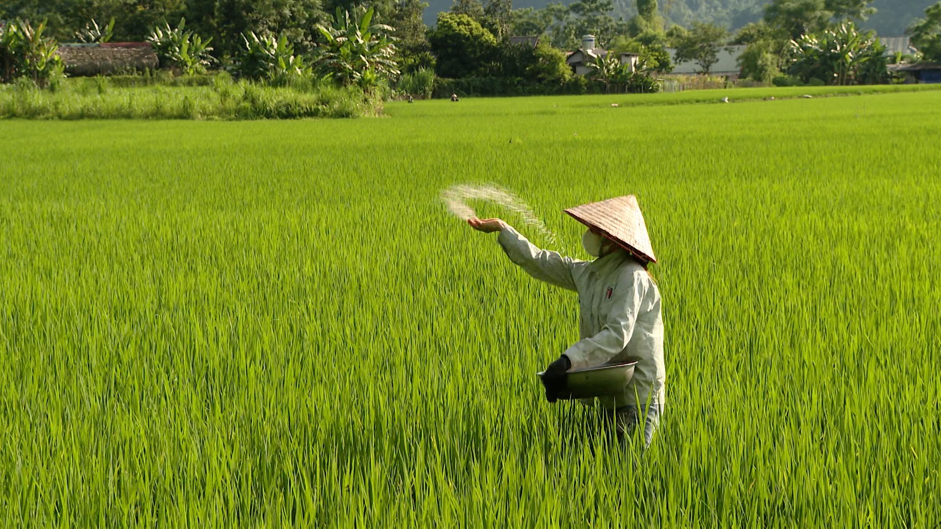 Hình ảnh 6