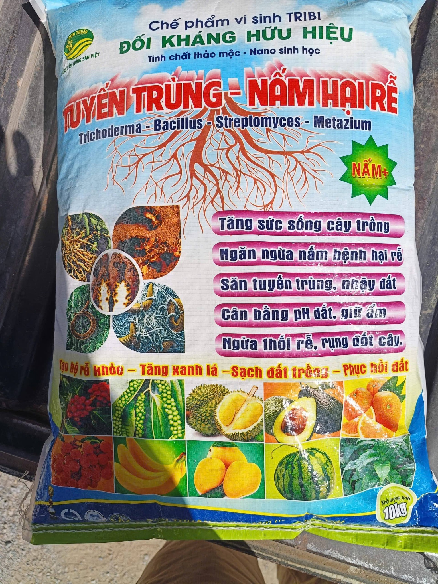 Anh-tin-bai